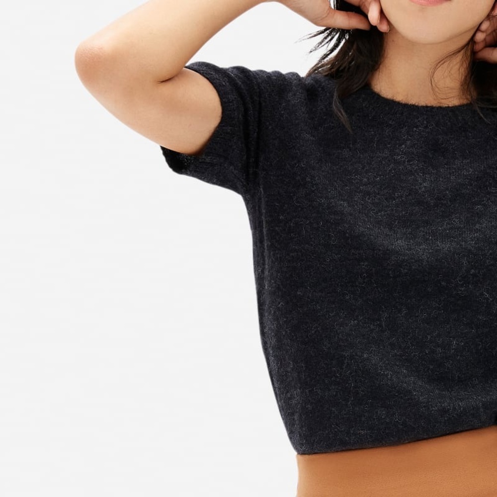 Everlane Alpaca Sweater Tee